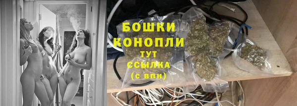 ГАЛЛЮЦИНОГЕННЫЕ ГРИБЫ Михайлов