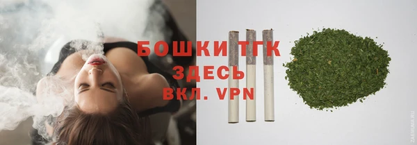 СК Мегион