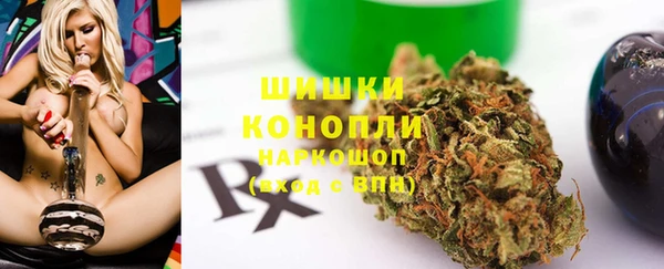 ГАЛЛЮЦИНОГЕННЫЕ ГРИБЫ Михайлов
