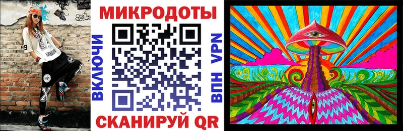 Псилоцибиновые грибы Psilocybine cubensis  Пошехонье 