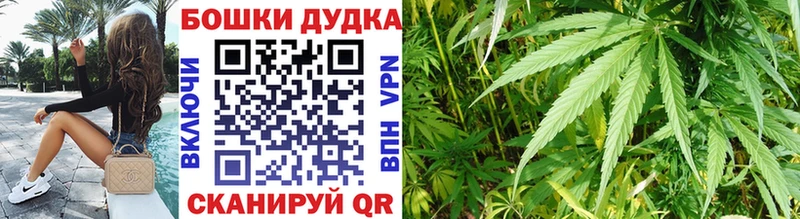 купить   Пошехонье  Каннабис конопля 